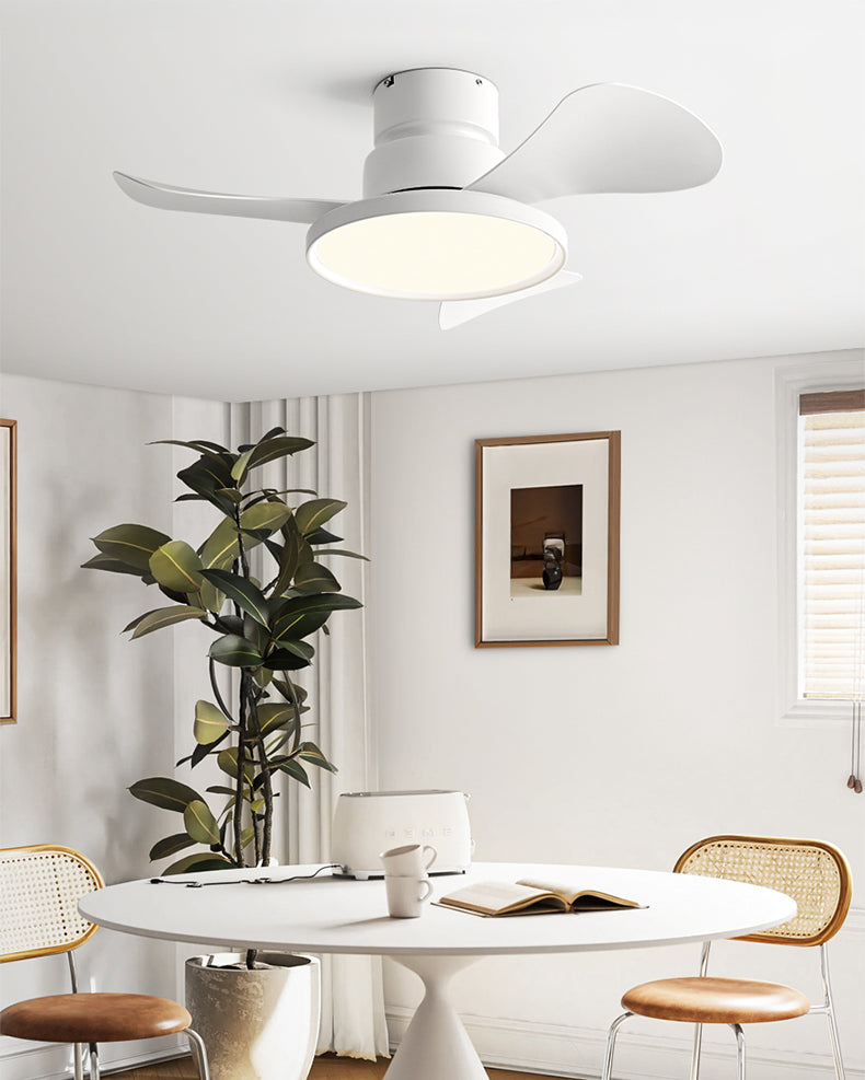 WOMO 30 Inch Low Profile Ceiling Fan Lamp - WM5196