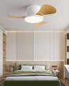 WOMO 30 Inch Ceiling Fan Lamp - WM5197 thumbnail