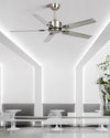 WOMO Metal Ceiling Fan - WM5199 thumbnail