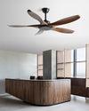 WOMO Modern Ceiling Fan - WM5203 thumbnail