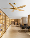 WOMO Modern Ceiling Fan - WM5203 thumbnail