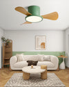WOMO 30 Inch Low Profile Ceiling Fan Lamp-WM5205 thumbnail