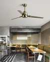 WOMO Industrial Stainless Steel Ceiling Fan-WM5213 thumbnail