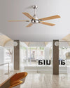 WOMO Industrial Stainless Steel Ceiling Fan-WM5213 thumbnail