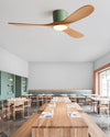 WOMO 42 Inch Low Profile Ceiling Fan Lamp-WM5223 thumbnail