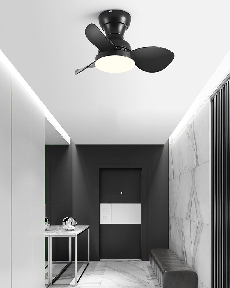 WOMO 22 Inch Small Low Profile Ceiling Fan Lamp - WM5229