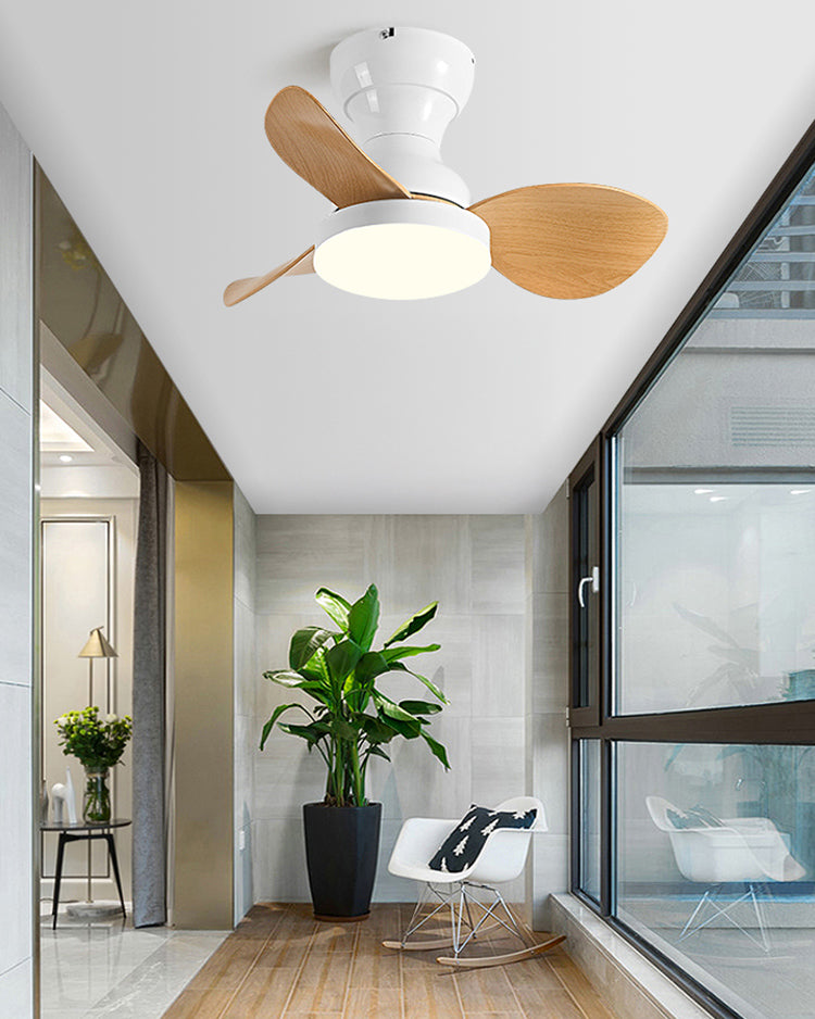 WOMO 22 Inch Small Low Profile Ceiling Fan Lamp - WM5229