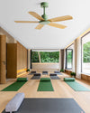 WOMO Modern Ceiling Fan - WM5231 thumbnail