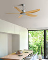 WOMO 5 Blade Low Profile Ceiling Fan - WM5255 thumbnail