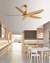WOMO 5 Blade Low Profile Ceiling Fan - WM5255 thumbnail