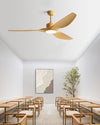 WOMO 3 Blade Modern Ceiling Fan Lamp - WM5262 thumbnail
