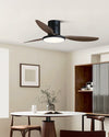 WOMO Modern Ceiling Fan Lamp - WM5267 thumbnail