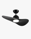 WOMO 2 Blade Unique Ceiling Fan Lamp - WM5270