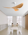 WOMO 3 Blade Ceiling Fan - WM5281 thumbnail