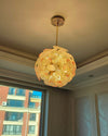 WOMO Glass Orb Chandelier-WM2404 thumbnail