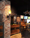WOMO Torch Outdoor Wall Light-WM9072 thumbnail