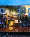 WOMO Globe Plant Wall Sconce-WM6035 thumbnail