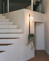 WOMO Globe Plant Wall Sconce-WM6035 thumbnail