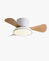 WOMO 28 Inch Small Hugger Ceiling Fan Lamp - WM5186 thumbnail