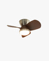 WOMO 22 Inch Low Profile Ceiling Fan Lamp - WM5148 thumbnail