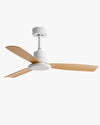WOMO Modern Ceiling Fan - WM5231 thumbnail