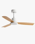 WOMO Modern Ceiling Fan - WM5231