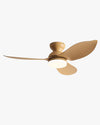 WOMO 38 Inch Low Profile Ceiling Fan Lamp-WM5219 thumbnail