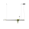 WOMO Plant Globe Pendant Light-WM2155 thumbnail