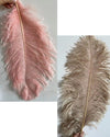 WOMO Feather Palm Tree Floor Lamp-WM7000 thumbnail