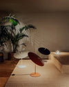 WOMO Interesting Floor Lamp with Adjustable Disc-WM7023 thumbnail