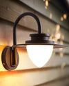 WOMO Gooseneck Outdoor Wall Light-WM9153 thumbnail
