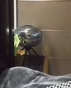 WOMO Glass Dome Table Lamp-WM8022 thumbnail