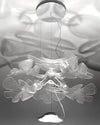WOMO Leaf Uplight Chandelier-WM2289 thumbnail