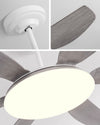 WOMO 6 Blade Large Ceiling Fan Lamp-WM5216 thumbnail