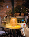 WOMO Solar Rechargeable Hanging Lantern-WM9009 thumbnail