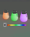 WOMO Solar Rechargeable Hue Lantern-WM9022 thumbnail
