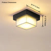 WOMO Square Outdoor Ceiling Light-WM9204 thumbnail