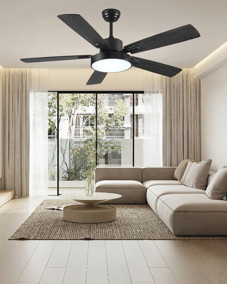 WOMO Minimal Black Ceiling Fan Lamp-WM5028