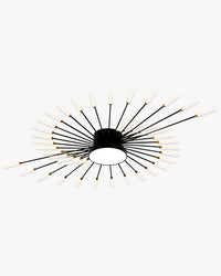 WOMO Firework Sunburst Flush Mount Ceiling Light-WM1001