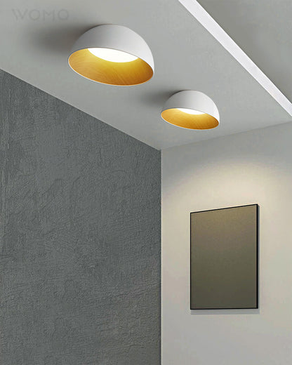 WOMO Dome Asymmetrical Flush Mount Ceiling Light-WM1020