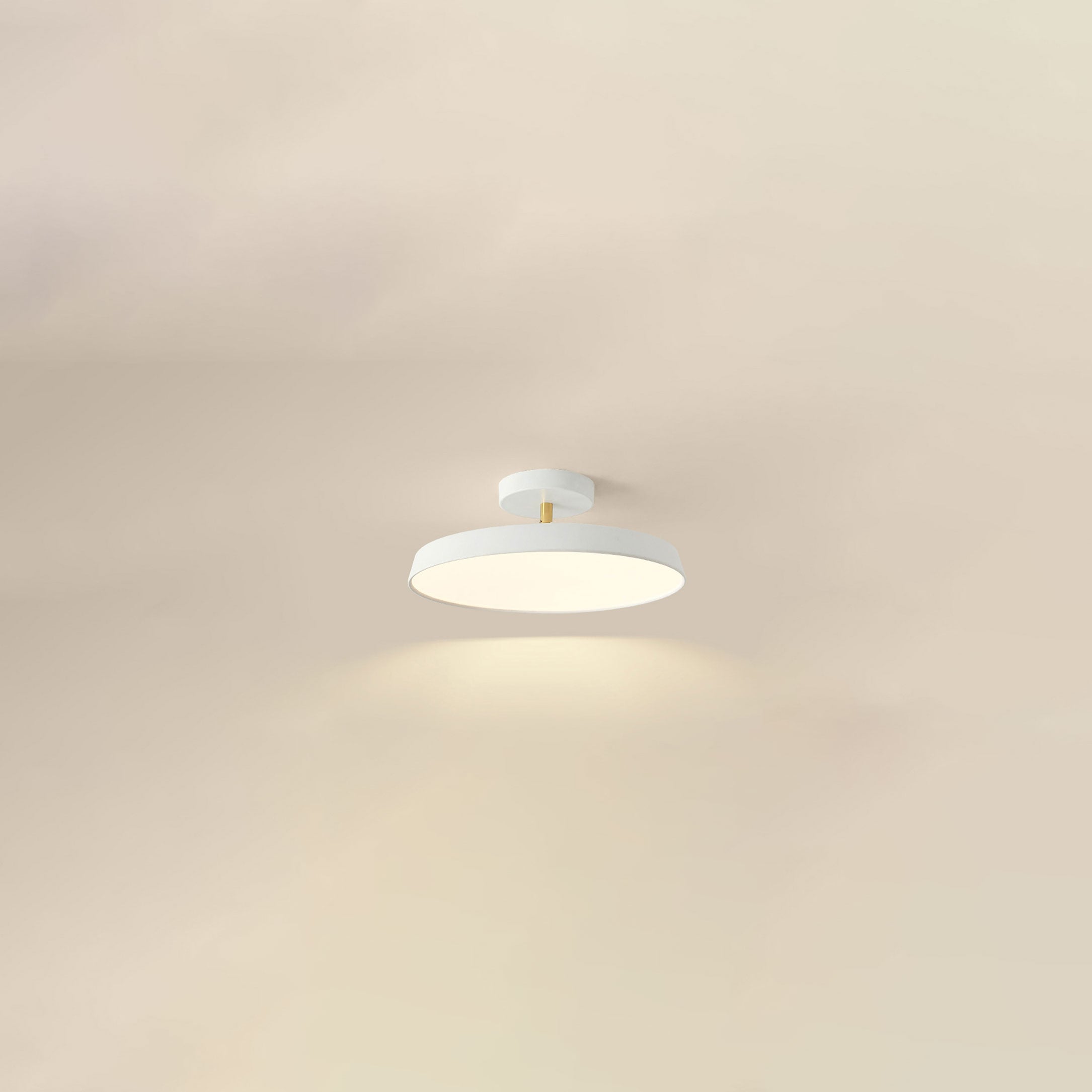 WOMO Round Adjustable Ceiling Light-WM1131
