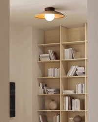 WOMO Dome Flush Mount Ceiling Light-WM1158