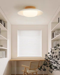 WOMO Dome Flush Mount Ceiling Light-WM1167