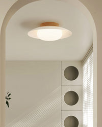 WOMO Dome Flush Mount Ceiling Light-WM1167