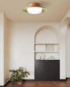 WOMO Dome Flush Mount Ceiling Light-WM1167 thumbnail
