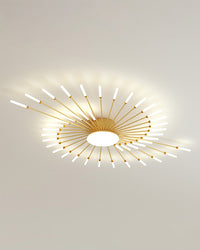 WOMO Firework Sunburst Flush Mount Ceiling Light-WM1001