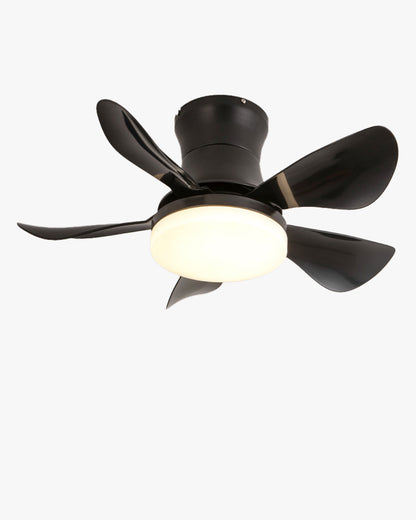 WOMO Small Ceiling Fan Lamp-WM5088