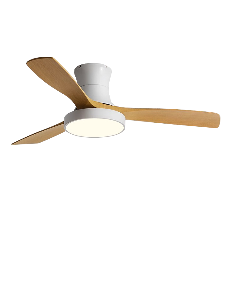 WOMO Low Profile Ceiling Fan Lamp-WM5124