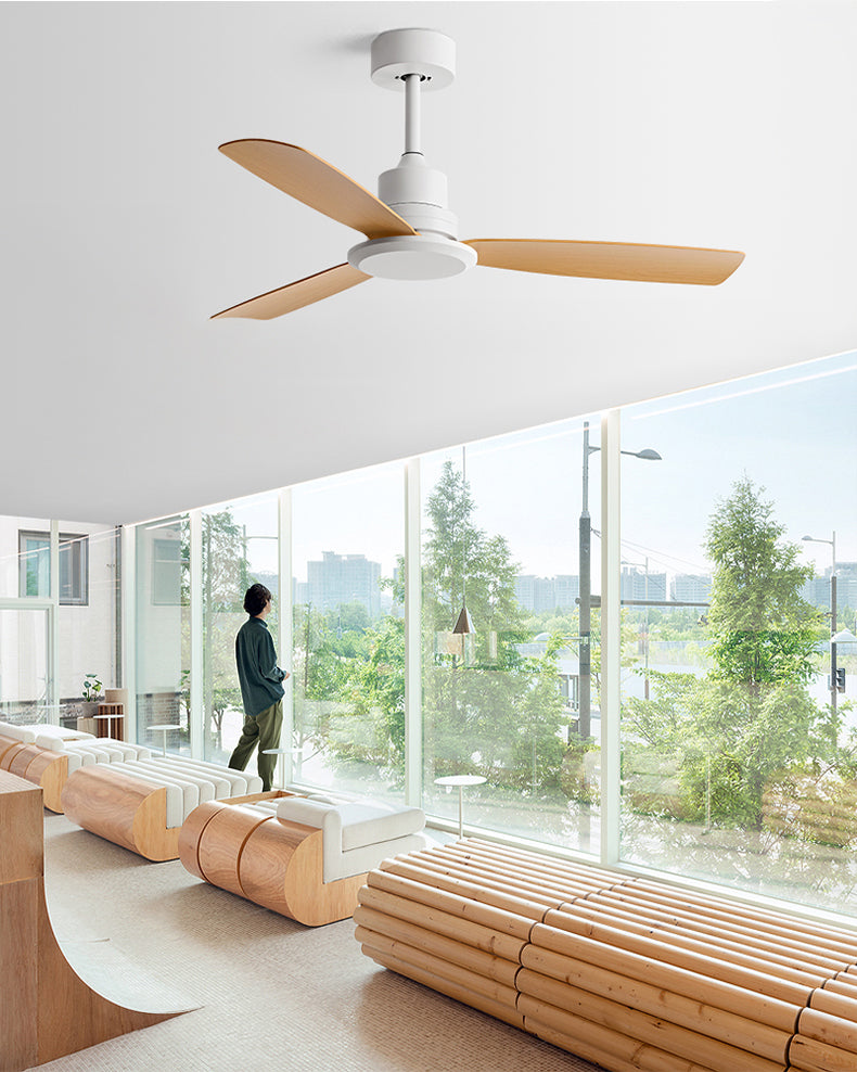 WOMO Modern Ceiling Fan - WM5231