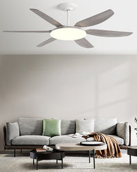 WOMO 6 Blade Large Ceiling Fan Lamp-WM5216